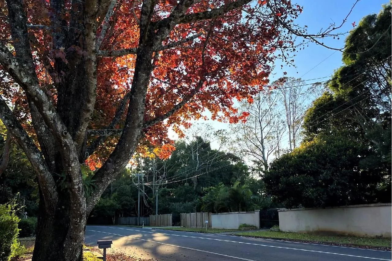Unwind At Secret Garden Maleny 3 Bedroom Family Home Australien